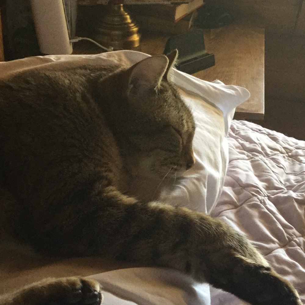 Meet your Posher, Nicole